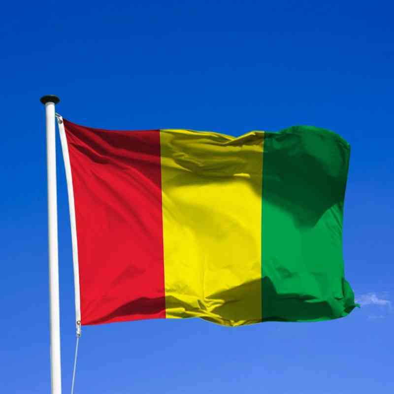 En Guinée, Référendum