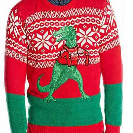 Dinosaur Sweater 